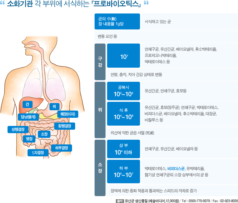 소화기관 각 부위에 서식하는 프로바이오틱스 - 하단 문구 참조